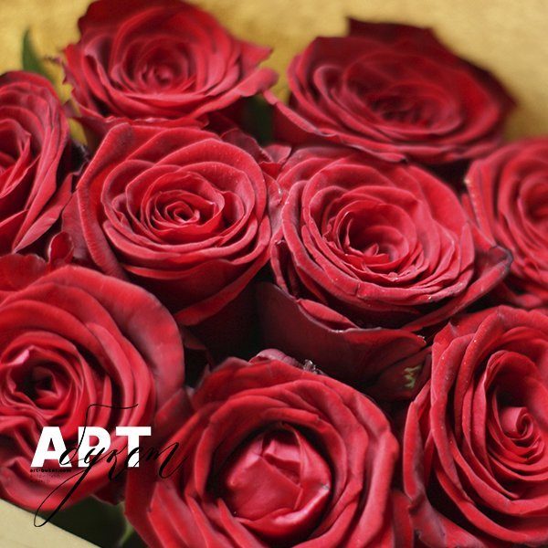 Букет из 9 красных роз (40 см)
