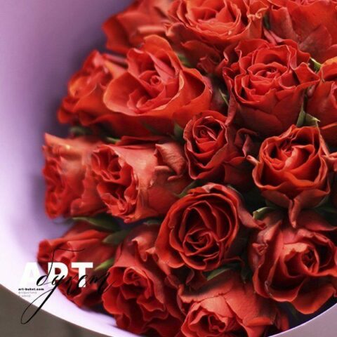 Букет из 19 красных роз (40 см)