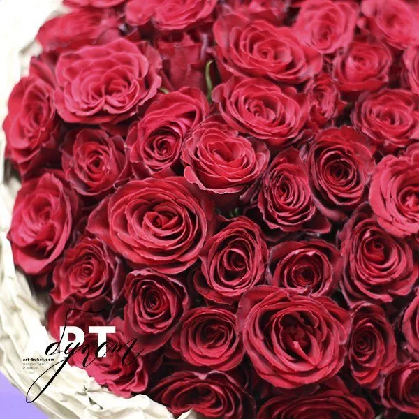 Букет из 51 красной розы ( 40 см)