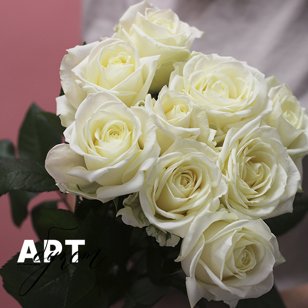 9 белых роз (70 см)