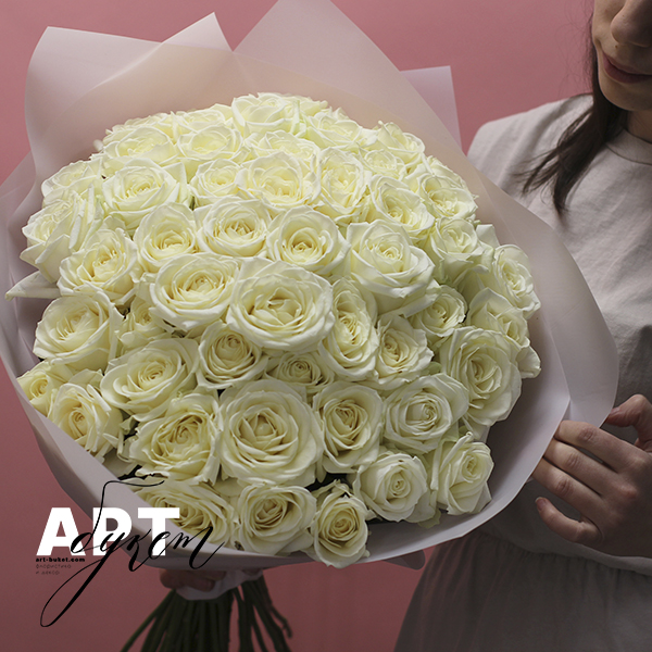 Цветы 51 белая роза (60 см)